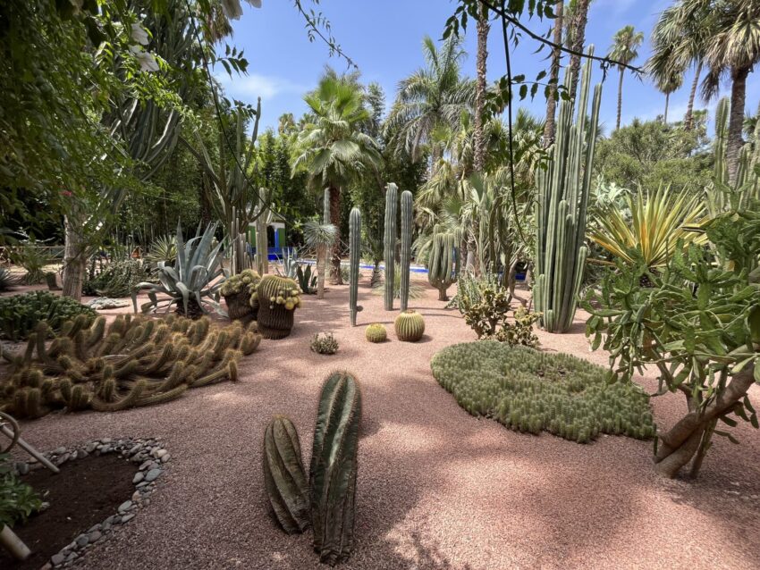 Jardin Majorelle (Majorelle Garden) In Marrakech